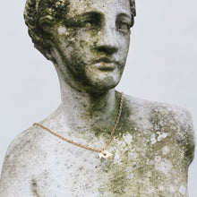 Load image into Gallery viewer, Fluorite necklace worn by Venus
