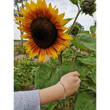 Load image into Gallery viewer, Sunflower sea you later bracelet Camifolla