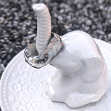 Load image into Gallery viewer, Shell all that ring on Elephant trunk - Camifolla