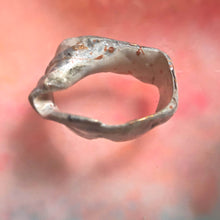 Load image into Gallery viewer, Shell All that Camifolla background