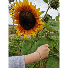 Load image into Gallery viewer, Sunflower sea you later bracelet Camifolla 
