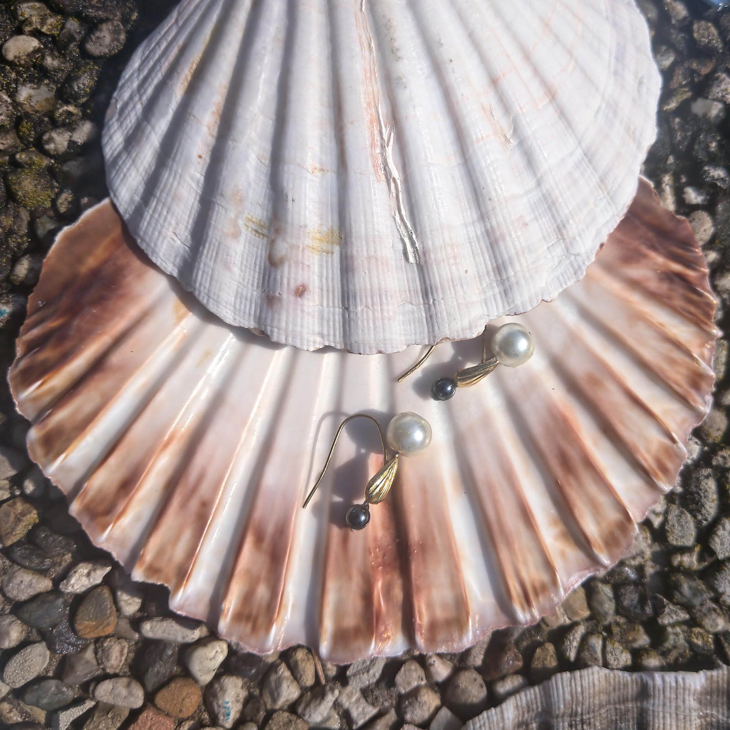 Camifolla Mini signature earrings black and white earrings with shells